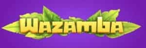 Tripminer blaze double