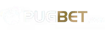 Bodog brasil - 535bet

